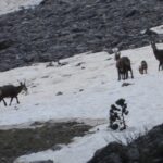 496297287_1006313654957941_3504745436029724224_n